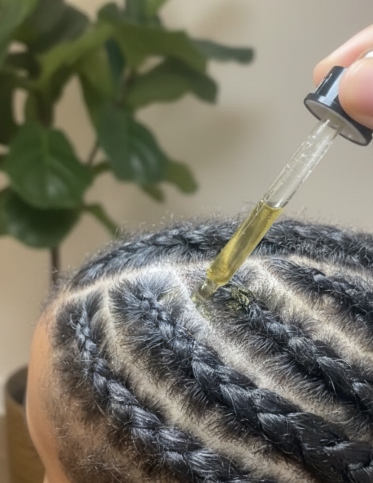 Person applying a dropper of oil to braided hair with a plant in the background